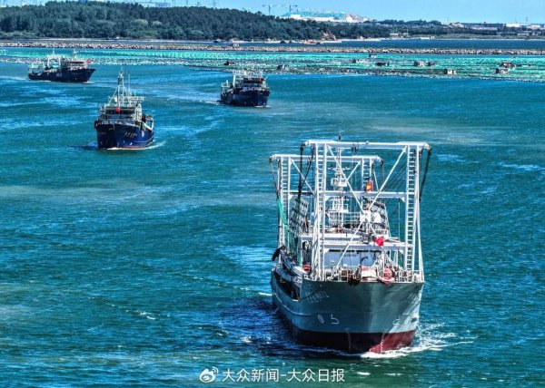 杨方策略 全国半数的金枪鱼、四成的鱿鱼……这些远洋鲜味儿从这里上岸