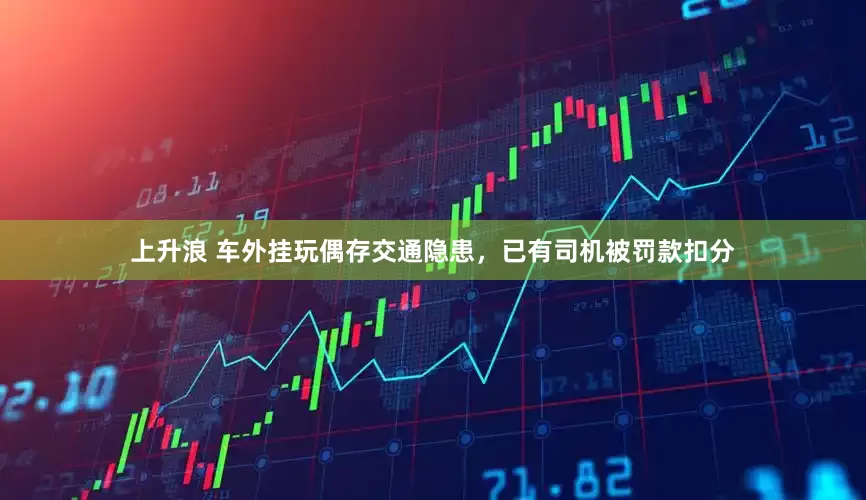 上升浪 车外挂玩偶存交通隐患，已有司机被罚款扣分