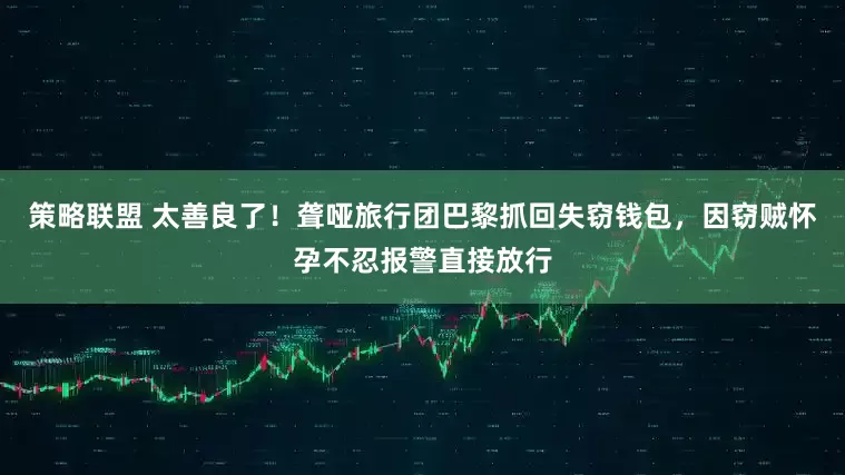 策略联盟 太善良了！聋哑旅行团巴黎抓回失窃钱包，因窃贼怀孕不忍报警直接放行